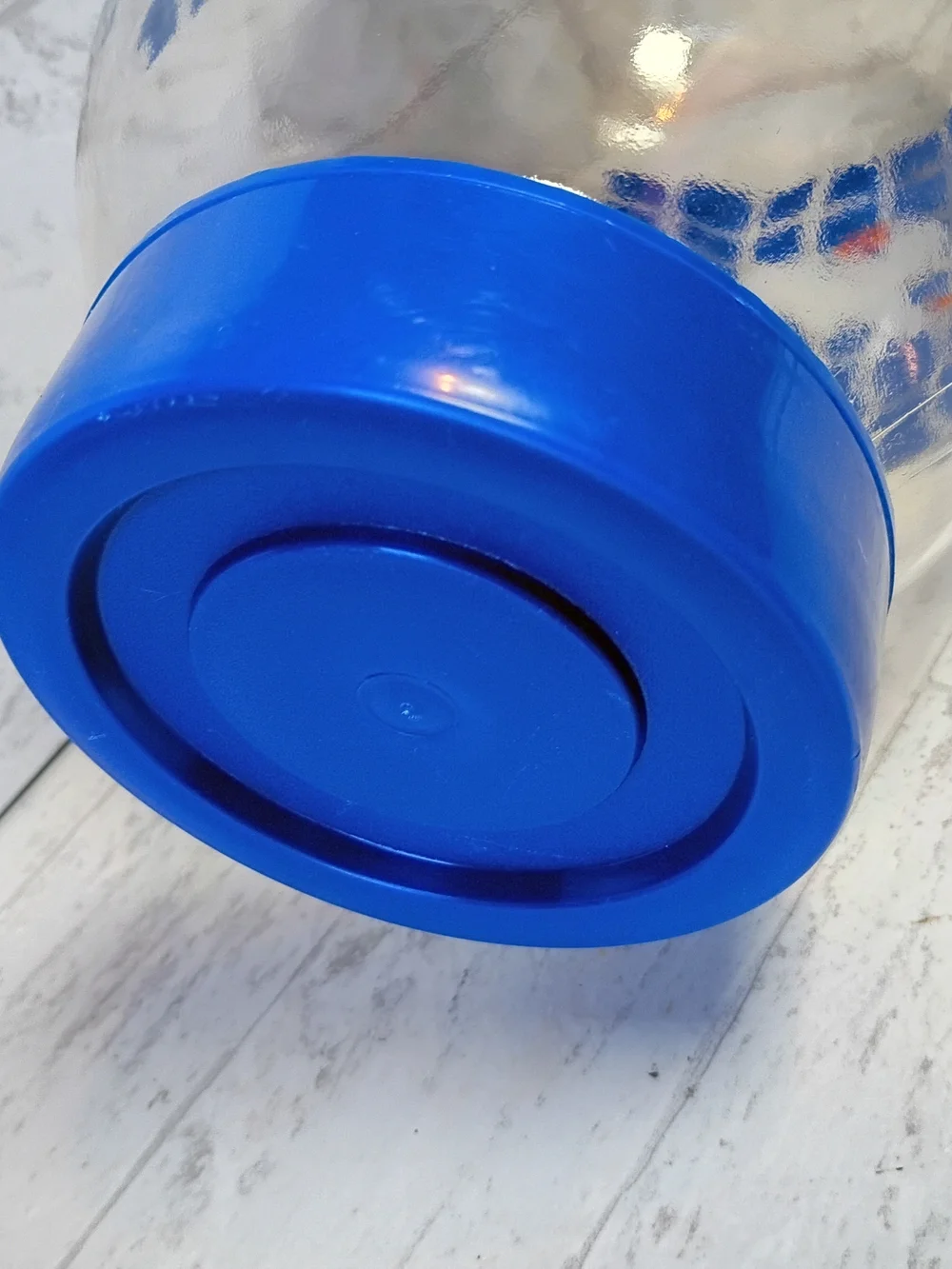 Vintage Country Geese Glass Jar with Blue Lid Carlton Glass Cottagecore- 3L